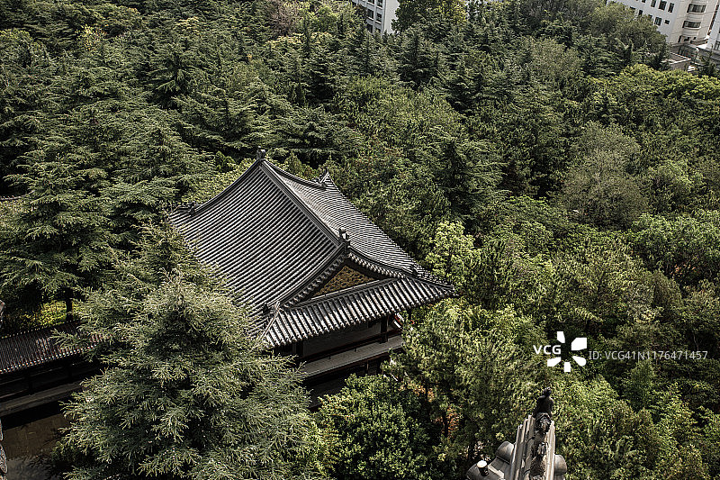 森林中的中国宝塔屋顶图片素材