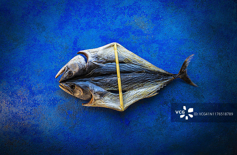 地中海鲣鱼户外干制金枪鱼图片素材