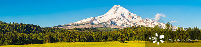俄勒冈州胡德山雪峰俯瞰松树林草地全景图片素材