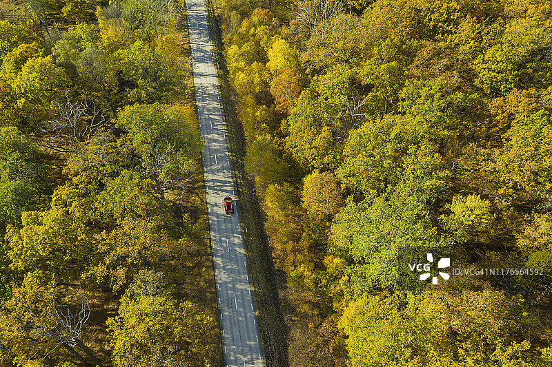 穿过森林的木板路鸟瞰图图片素材