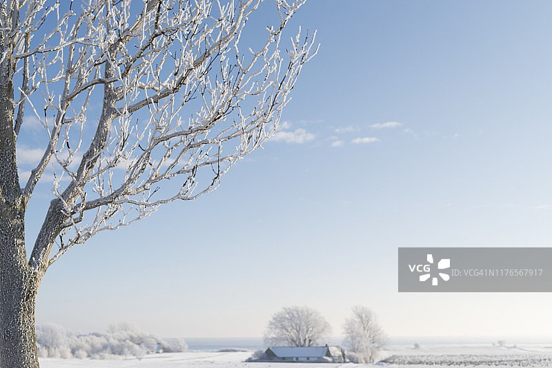 冬天的风景图片素材
