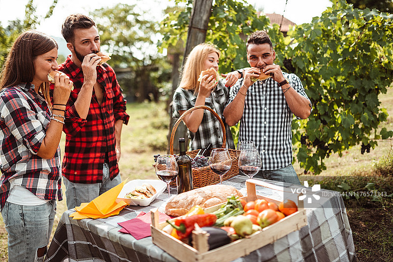 朋友们在葡萄园野餐图片素材