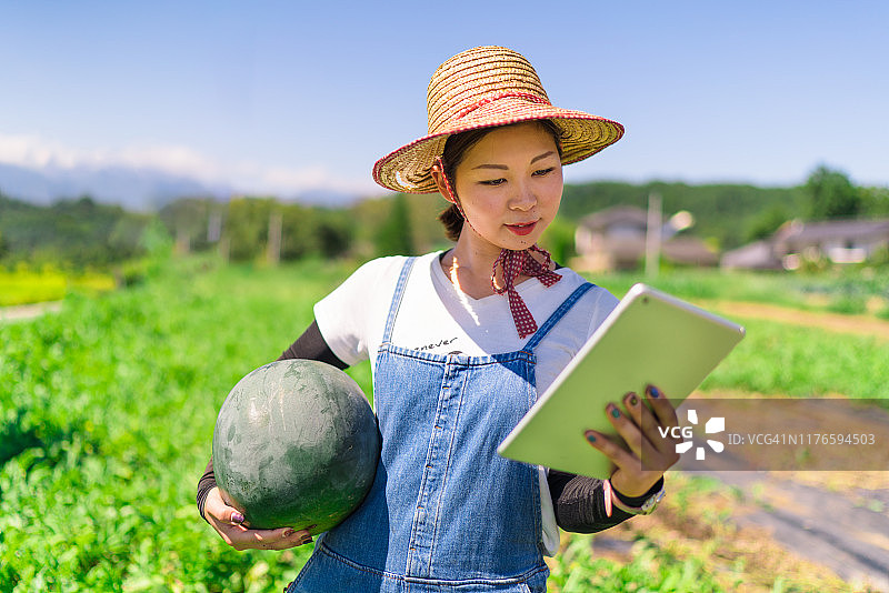 年轻女人在农场使用平板电脑工作图片素材