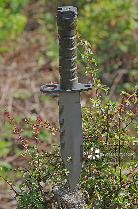 M-9刺刀图片素材