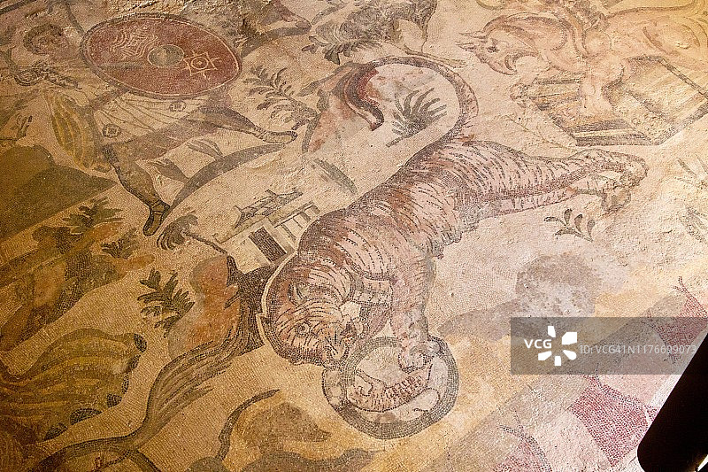 卡萨莱罗马别墅的雌虎观看她的倒影马赛克图片素材