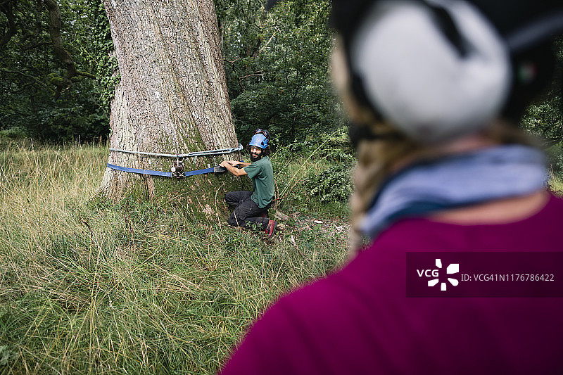 树木外科医生将绳索系在大型橡树树干上图片素材