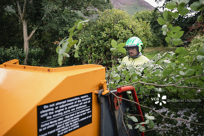 戴头盔和面罩的树木外科医生使用粉碎机图片素材
