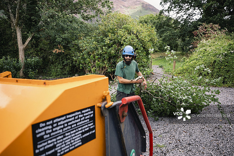 树艺师将树枝送入碎纸机图片素材