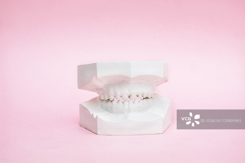 粉色背景上的牙齿模型图片素材