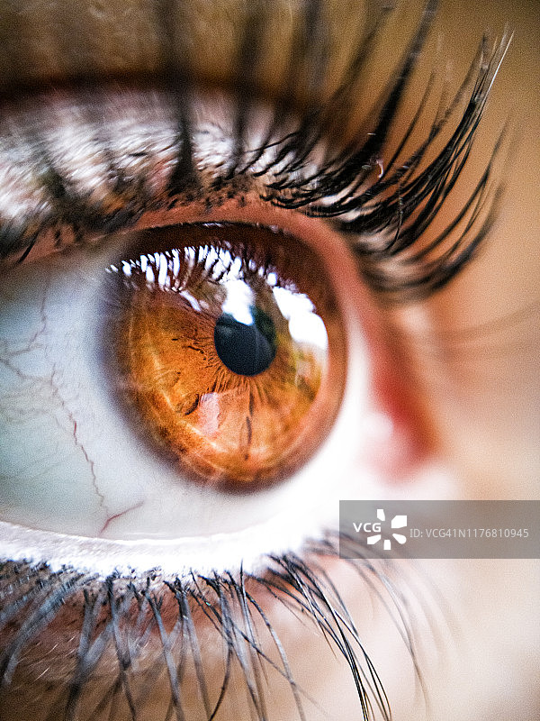 年轻女子棕色眼睛特写图片素材