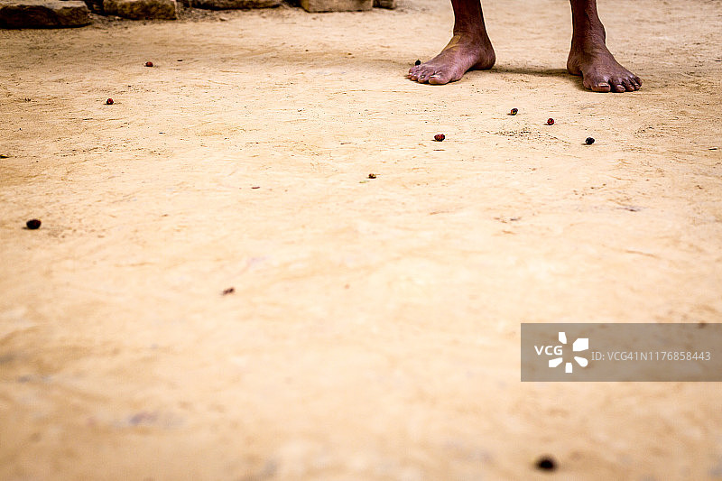 摔跤手在瓦拉纳西的古老泥地摔跤馆吃鹰嘴豆图片素材