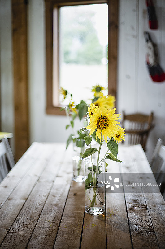 桌子上的向日葵图片素材