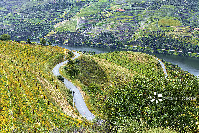 葡萄牙杜罗河梯田山丘上的道路图片素材