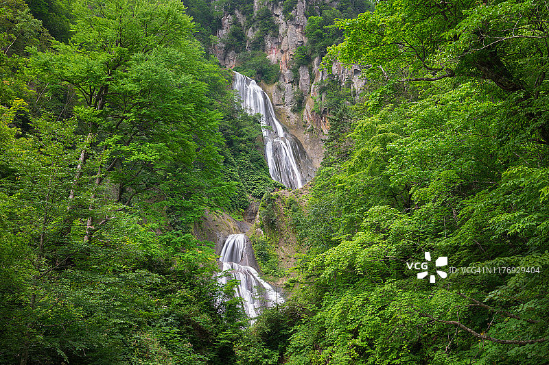 夏季瀑布景观图片素材