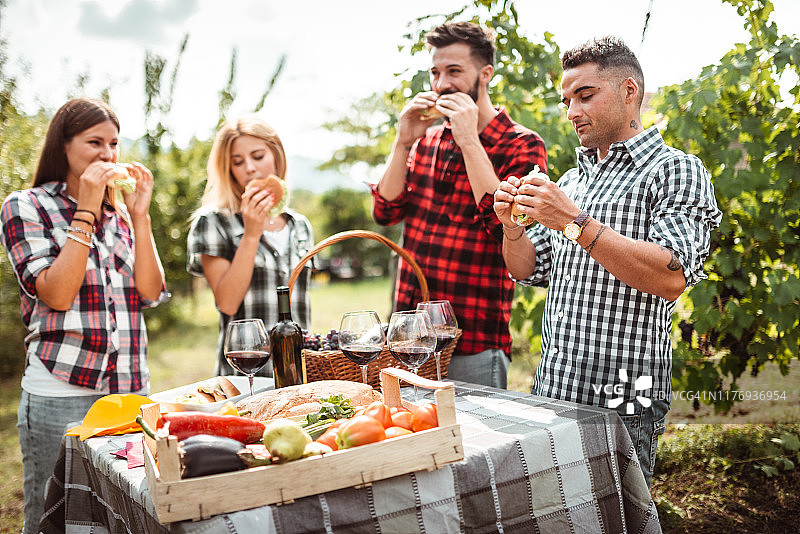 朋友们在葡萄园野餐图片素材