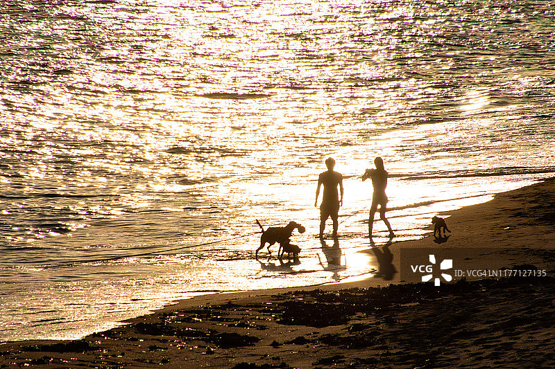 日本神奈川县海滩上的夕阳图片素材