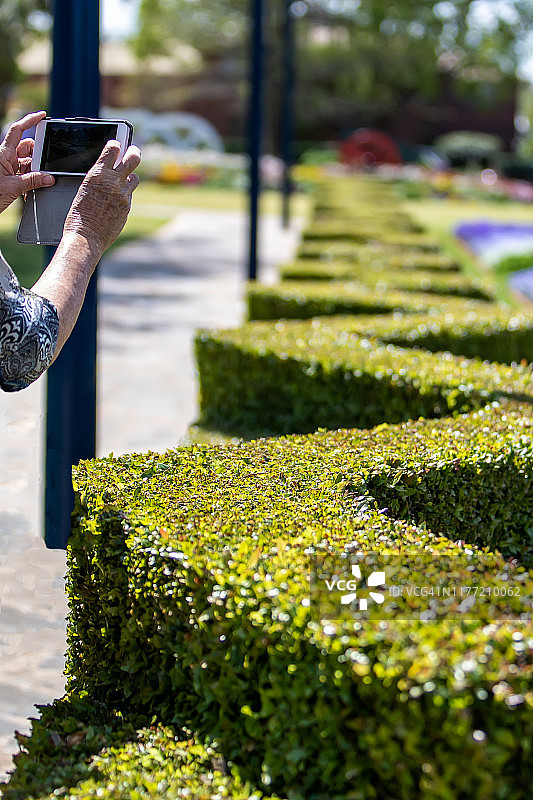 一位在公园里的年长妇女图片素材