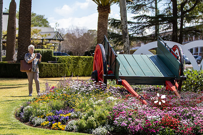 一位在公园里的年长妇女图片素材