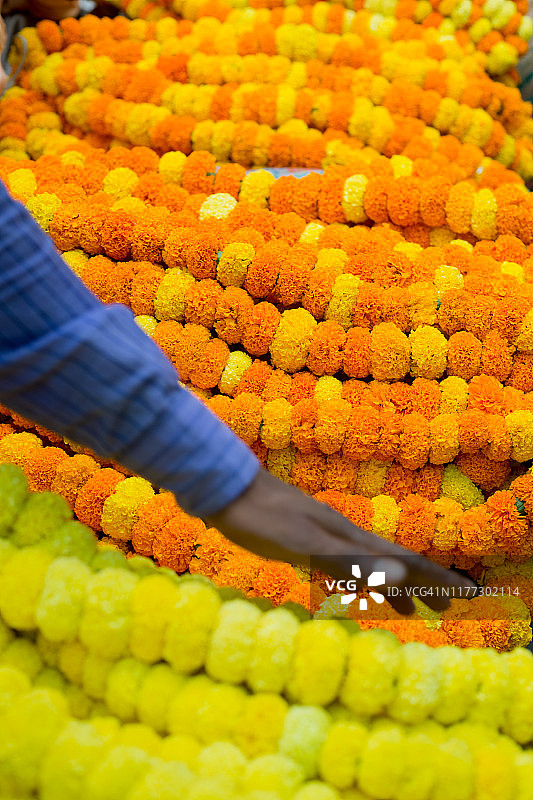 印度瓦拉纳西花卉市场待售的鲜花图片素材