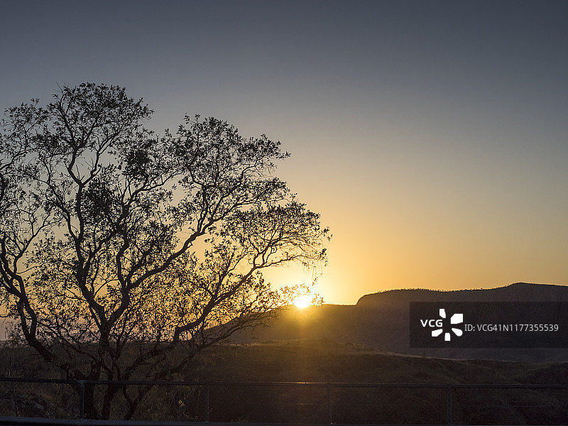 澳大利亚西金伯利阿盖尔湖日出时分的树木轮廓图片素材