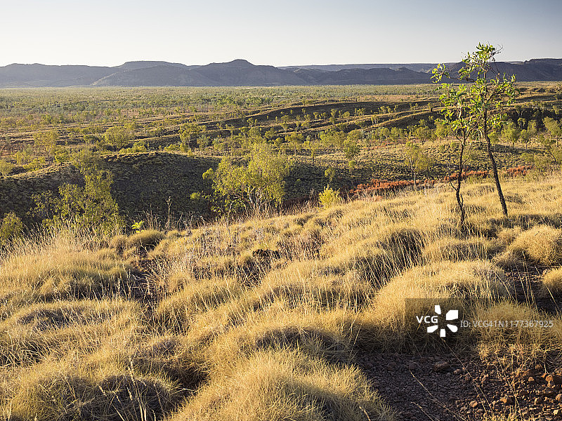 澳大利亚西 Kimberley, Purnululu 国家公园图片素材
