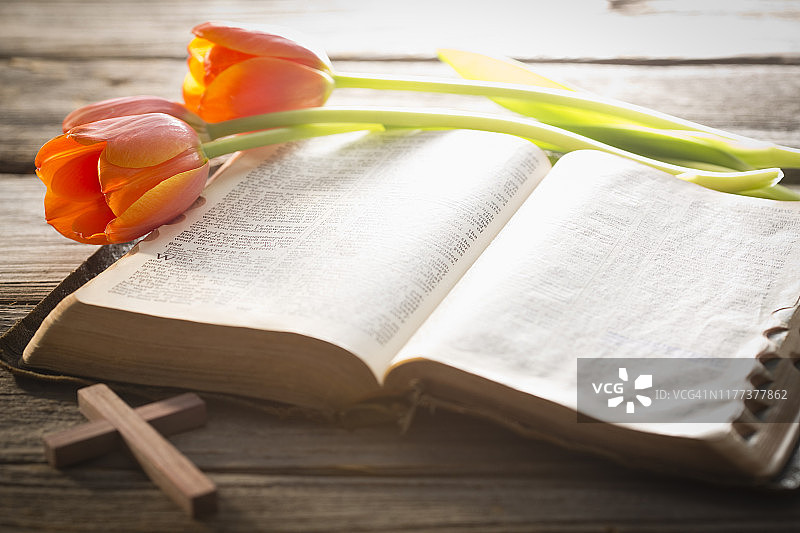 木制十字架、圣经和红色郁金香的影棚照图片素材