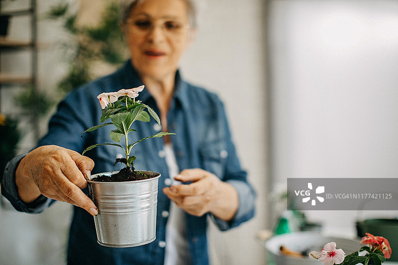 孙子帮奶奶种地图片素材