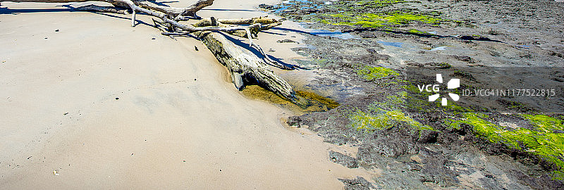 海滨海景背景图图片素材