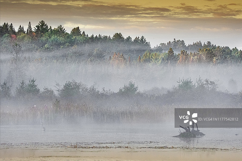雾气笼罩的阿尔冈昆海岸线图片素材