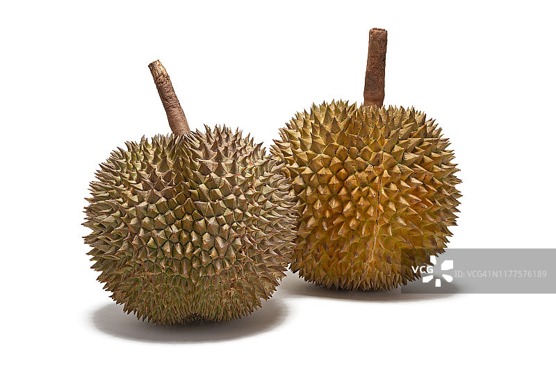 白色背景下的榴莲图片素材