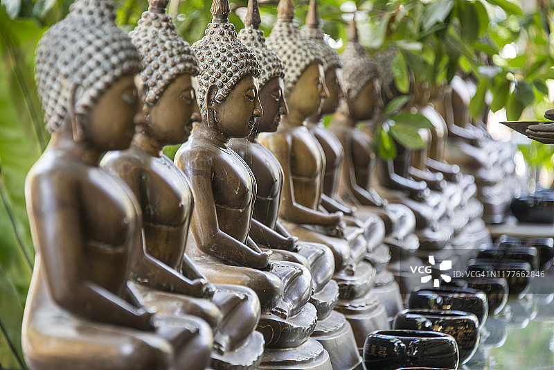 科伦坡冈嘎拉玛寺的成排佛像图片素材