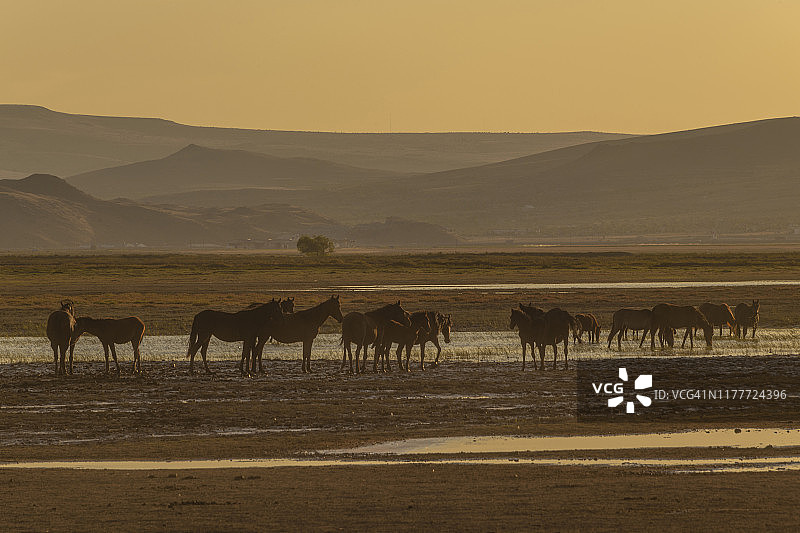 霍尔梅特奇萨兹利吉图片素材