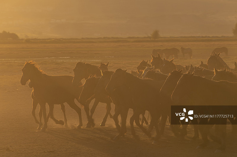霍尔梅特奇萨兹利吉图片素材