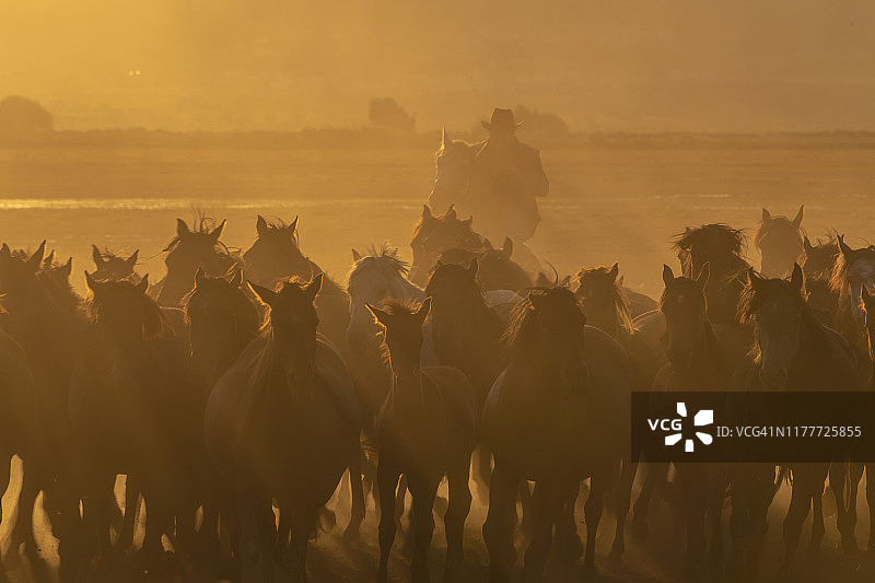 霍尔梅特奇萨兹利吉图片素材