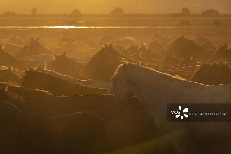 霍尔梅特奇萨兹利吉图片素材