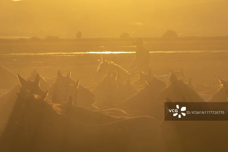 霍尔梅特奇萨兹利吉图片素材