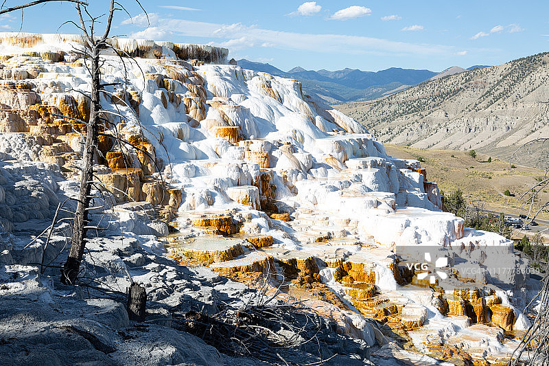 黄石公园的间歇泉图片素材