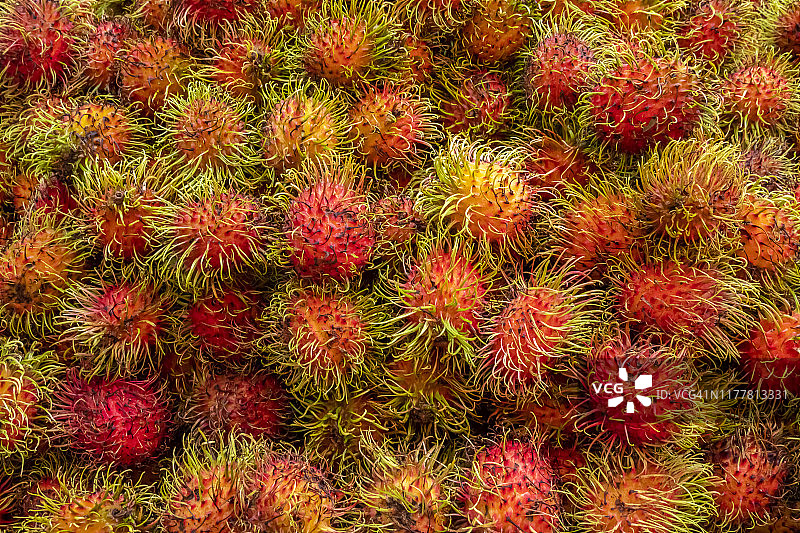 排列精美的许多红毛丹，可用作背景图片图片素材