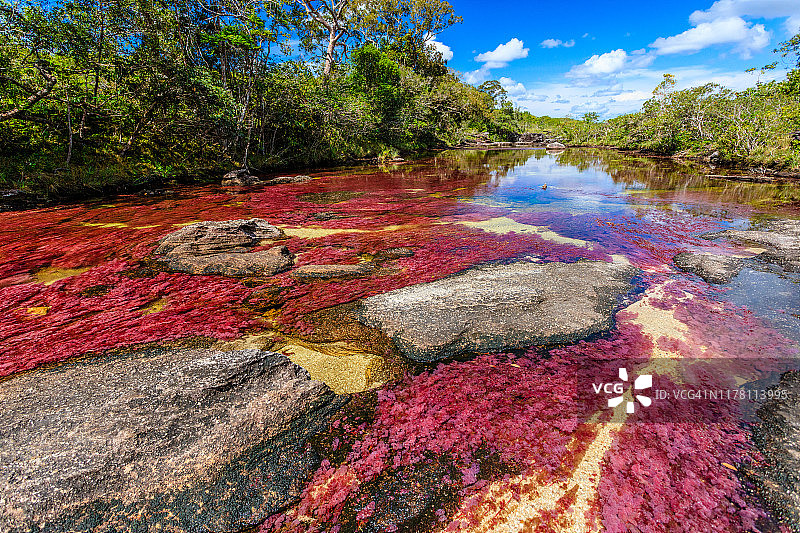 五彩河卡尼奥克里斯塔莱斯河图片素材
