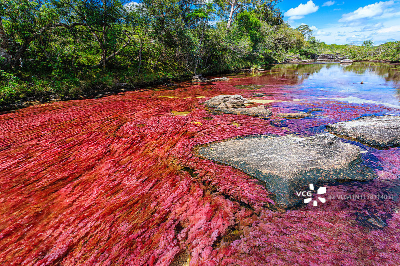 五彩河卡尼奥克里斯塔莱斯河图片素材