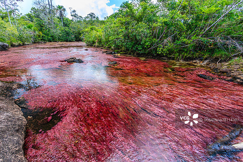 五彩河卡尼奥克里斯塔莱斯河图片素材