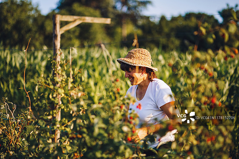 在自然中工作令人放松图片素材