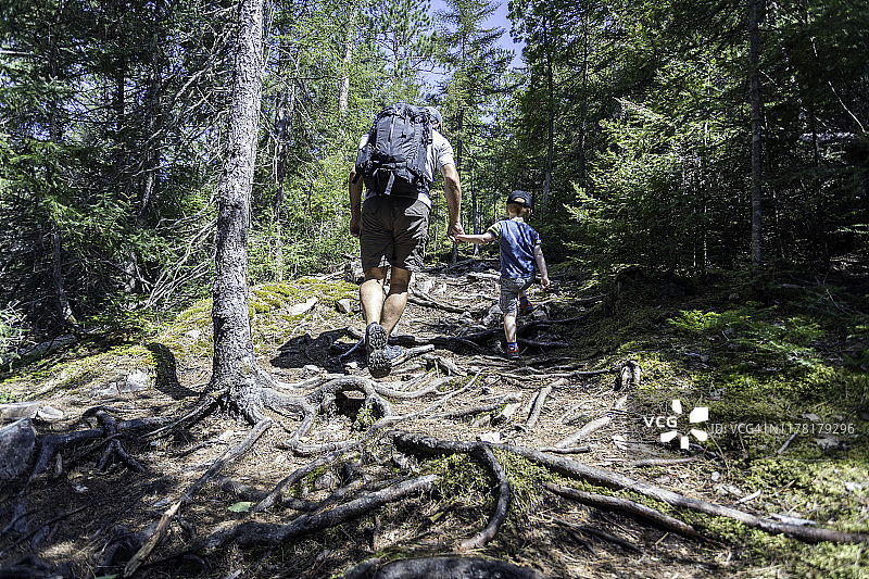 父子夏季森林徒步图片素材