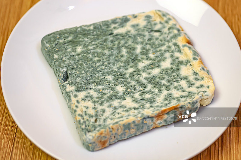 发霉的食物：霉变的吐司面包图片素材