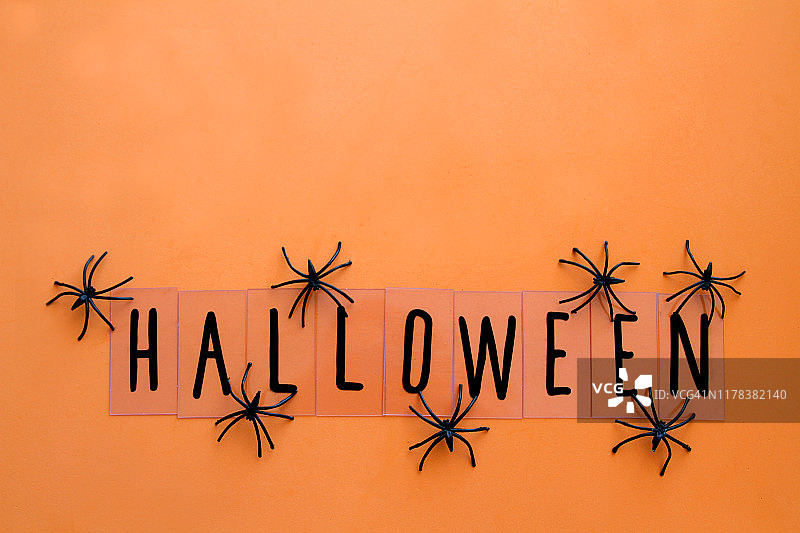 橙色背景上的万圣节文字和蜘蛛，留白图片素材