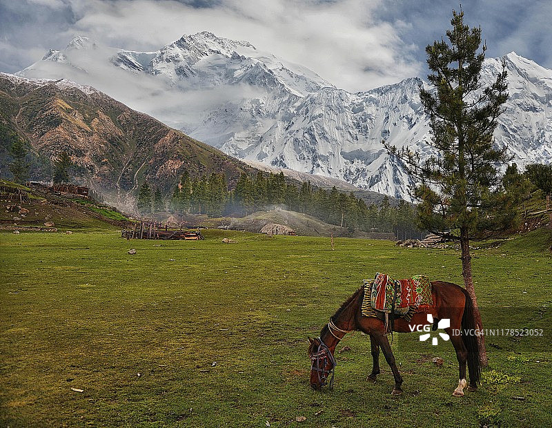 童话草甸图片素材