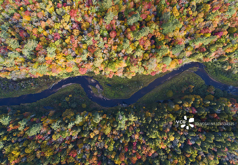 秋季航拍：蜿蜒的河流穿过色彩斑斓的森林图片素材