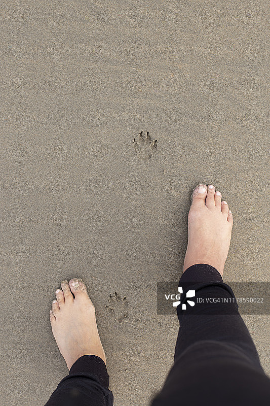 女人的脚和狗的足迹图片素材