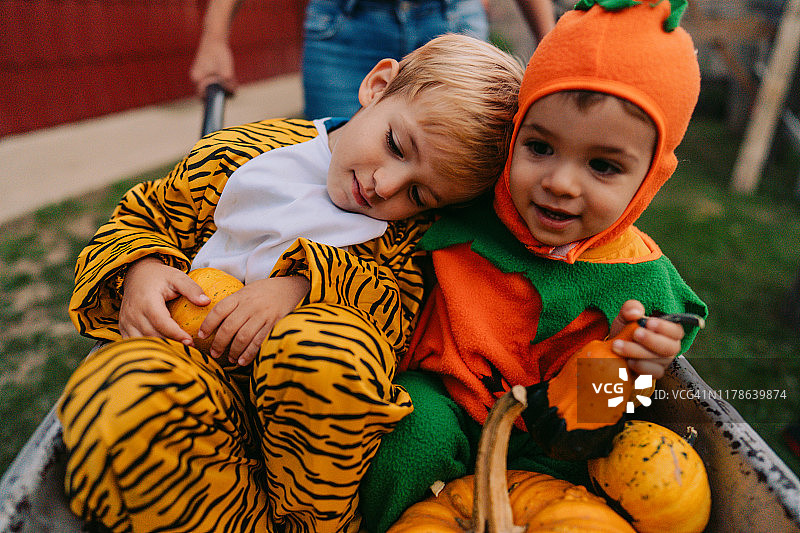 我们的万圣节庭院图片素材