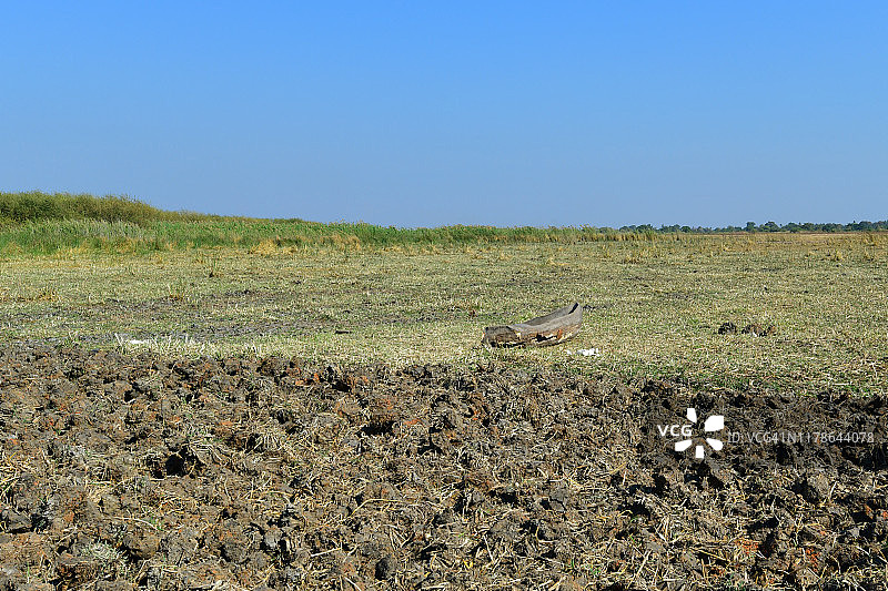 旱季稻田中的龟裂土壤图片素材